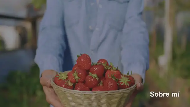 Video thumbnail for Raspberry custard kuchen