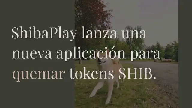 Video thumbnail for Aplicación Shiba Inu diseñada para ‘quemar’ tokens SHIB