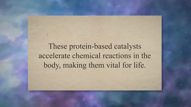 Video thumbnail for How Enzymes Work