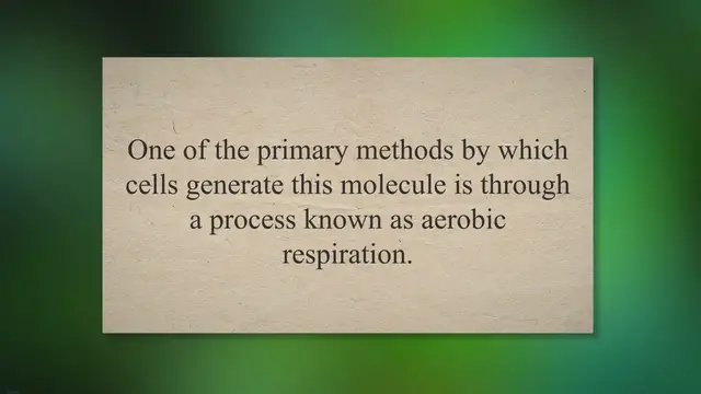 Video thumbnail for Aerobic Respiration Breathing Life with Oxygen