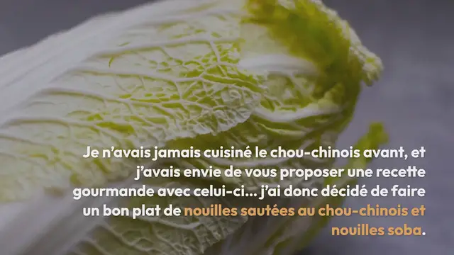 Video thumbnail for Wok de nouilles soba au chou-chinois