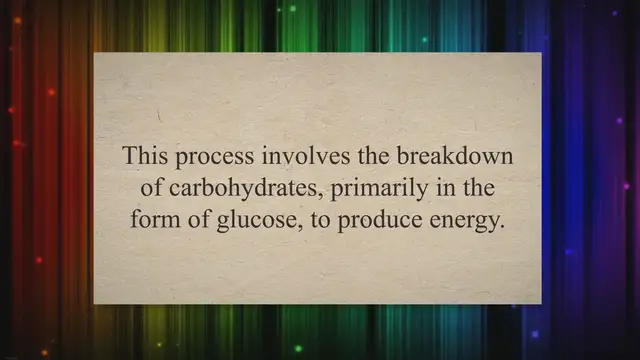 Video thumbnail for Carbohydrate Catabolism