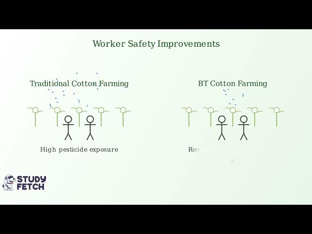 Video thumbnail for BT Cotton – Definition, Features, Development, Advantages, Limitations