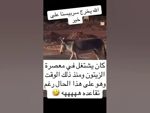 Video thumbnail for الله يخرج سربيسنا على خير 😂😂😂🙉🙉🙉🤣😆🔥🔥