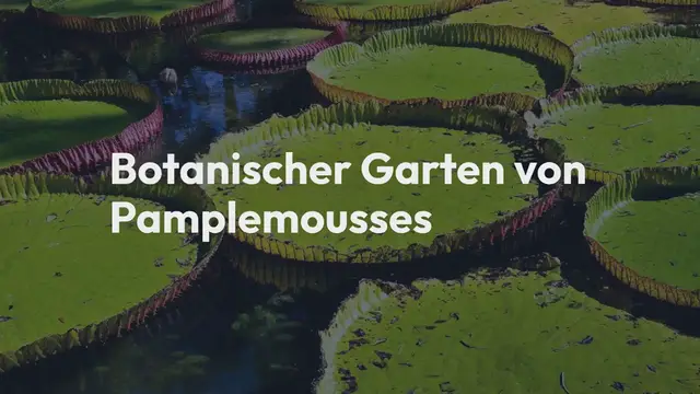 Video thumbnail for Botanischer Garten von Pamplemousses Taucht ein in die bunte Blütenpracht von Mauritius