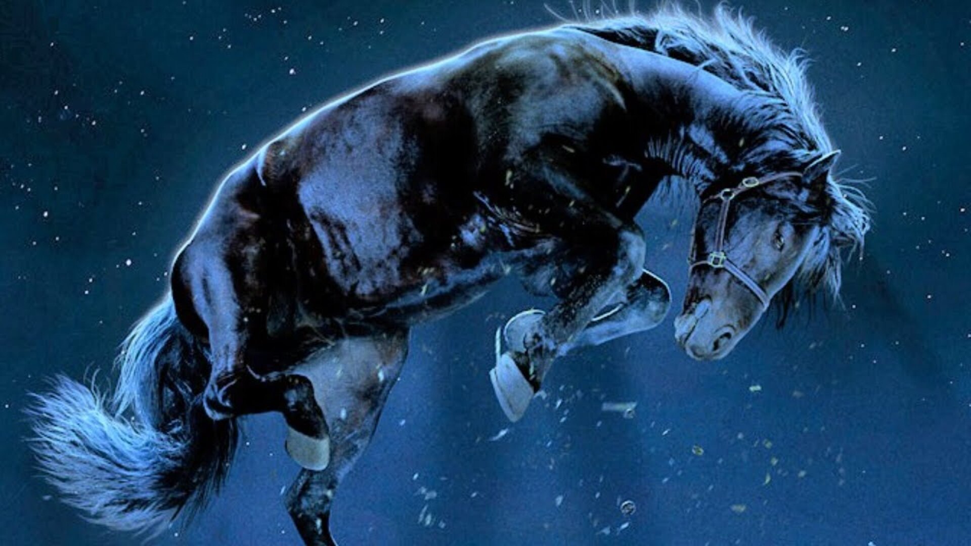 Video thumbnail for Confusing Moments In Nope Explained