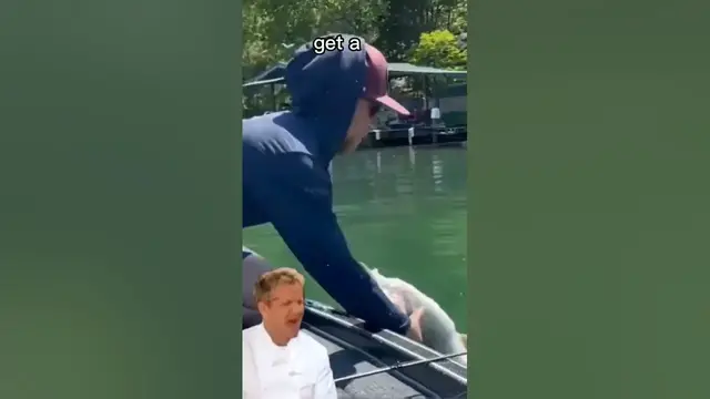 Video thumbnail for Gordon Ramsay Reacts to Fishing Fails 4 #gordonramsay #fishingfails #wheresthelambsauce