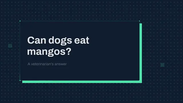 Video thumbnail for Can dogs eat mangos? – A veterinarian’s answer