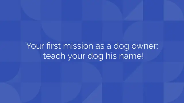 Video thumbnail for How do you teach your dog his name?
