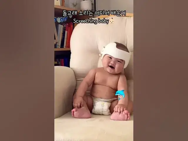 Video thumbnail for 우리집에 돌고래가 살아요