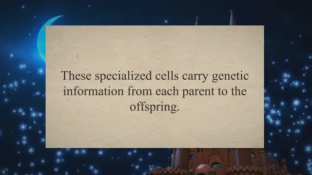 Video thumbnail for Formation of Sex Cells