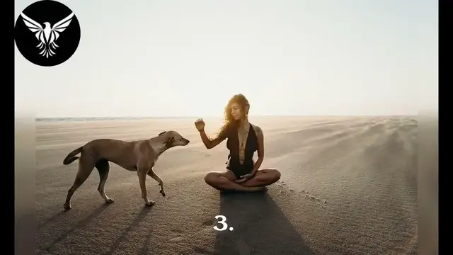 Video thumbnail for The Science of Attraction Interesting Numbers and Facts You Didn't Know