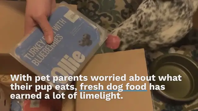 Video thumbnail for Our Ollie Dog Food Review: The Best Fresh Food We’ve Tried