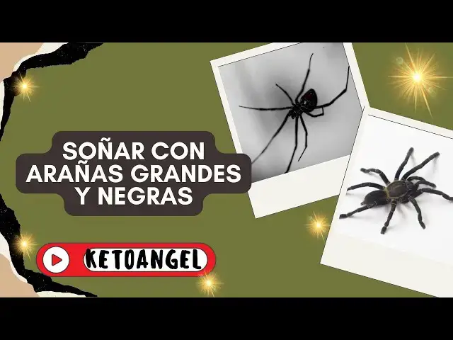 Video thumbnail for Significado espiritual de soñar con arañas grandes y negras