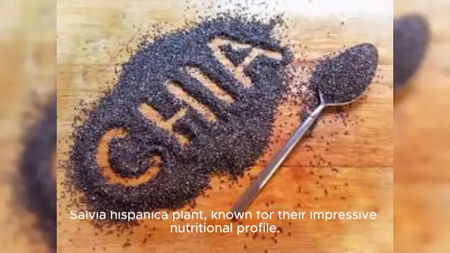 Video thumbnail for Chia Seed Protein,Plant-Based Protein Powders