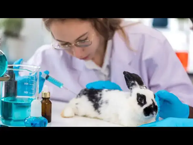 Video thumbnail for UC Davis Animal Science: video blog