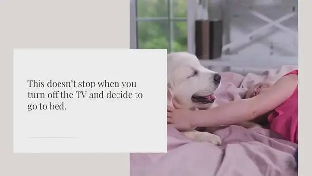 Video thumbnail for Where should my dog sleep?