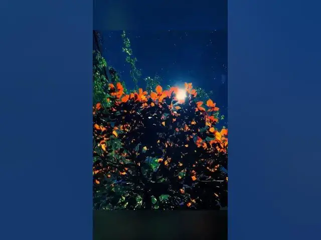 Video thumbnail for The Perfect Place