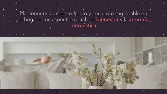 Video thumbnail for Mantén tu casa siempre con aroma agradable gracias a esta planta