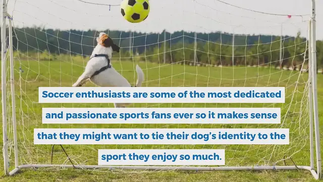 Video thumbnail for 250+ Soccer Inspired Dog Names For Your Striker Pup