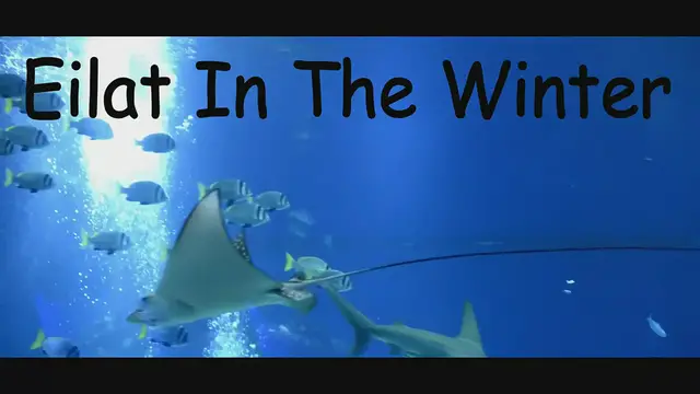 Video thumbnail for Eilat in The Winter - אילת בחורף