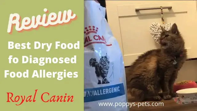 Video thumbnail for Royal Canin  Hypoallergenic & Anallergenic Dry Biscuits