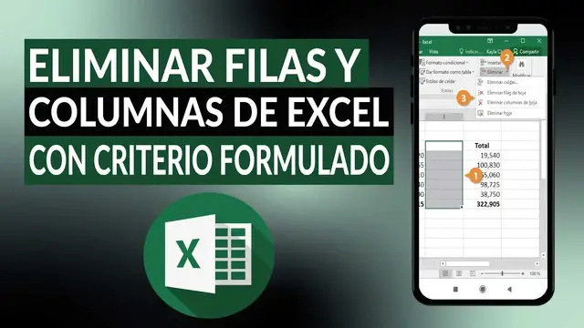 Video thumbnail for ¿Cómo eliminar filas y columnas de EXCEL que cumplan un criterio formulado?