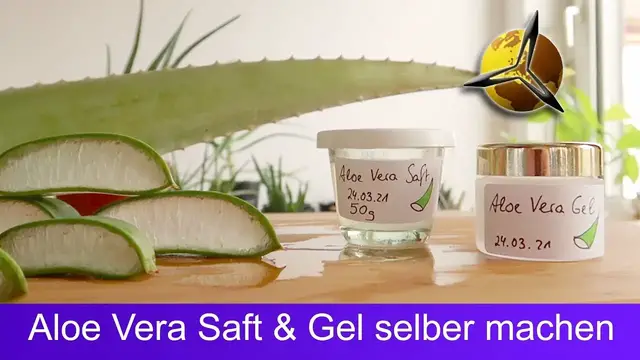 Video thumbnail for Aloe Vera Gel und Saft selber machen