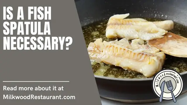 Video thumbnail for Is A Fish Spatula Necessary? 5 Superb Reason Why It Necessary To Have
