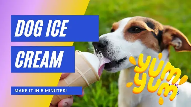 Video thumbnail for I Made Summer's Coolest Treat For My Pup! 5 Minute Dog Ice Cream Recipe