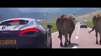 Video thumbnail for Supercars Fails 🔴 Expensive FAILS Compilation @spotforcars