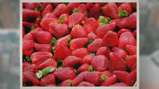 Video thumbnail for How Many Seeds Are on a Strawberry?