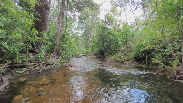 Video thumbnail for Litchfield National Park