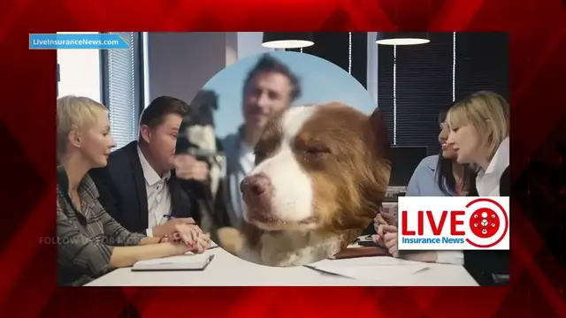 Video thumbnail for Spanish Version - Pet insurance market will be worth nearly $38 8 billion by 2030