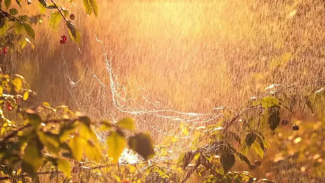 Video thumbnail for Bill Skarsgård as Nosferatu A Chilling Performance in the New Dracula Adaptation