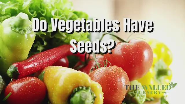 'Video thumbnail for Why Are My Tomato Leaves Turning Yellow? - The Walled Nursery'