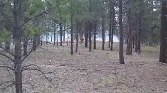 Video thumbnail for Black Forest Fire June 13 2013