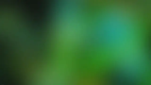 Video thumbnail for The First-Timers Travel Guide to Jamaica - My Canadian Passport