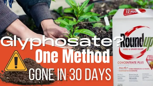 Video thumbnail for How Long Does Glyphosate Stay In Garden Soil? How To Remove Glyphosate From Soil? | Science Explains