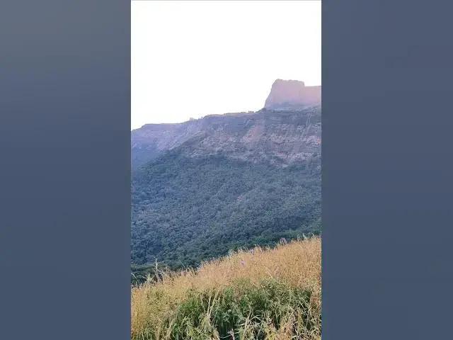 Video thumbnail for Nature video #nature #naturelovers