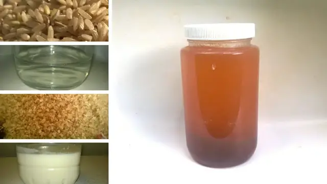 Video thumbnail for How To Make LAB in KNF (Shelf-Stable)