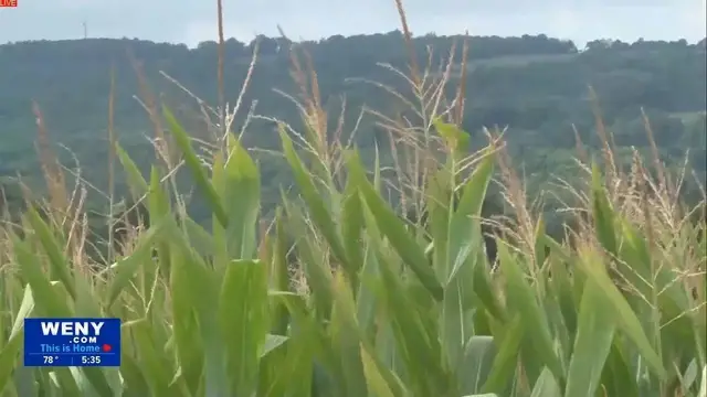 Video thumbnail for State Of The State: Agricultural