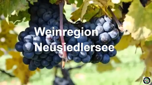 Video thumbnail for Weinregion Neusiedlersee - Weinerlebnis im Herbst
