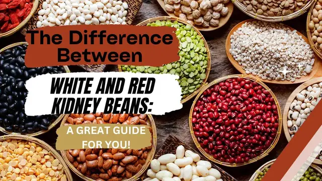 Video thumbnail for The Difference Between White and Red Kidney Beans: A Great Guide for You! (2022)