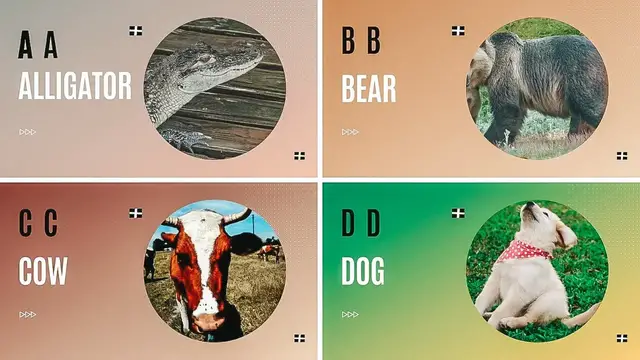 Video thumbnail for ABC Animals Song | Learn ABC | Animals Names