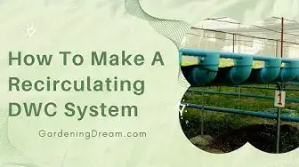 Video thumbnail for How To Make A Recirculating DWC System