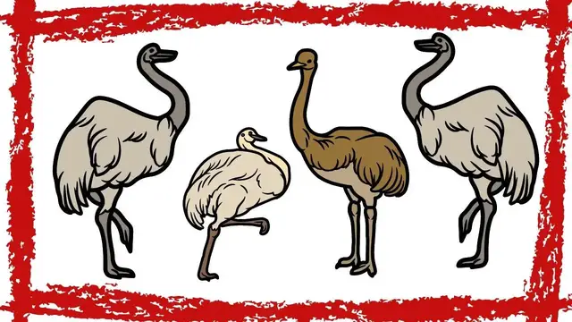 Video thumbnail for 5 Minutes Greater Rhea Sound| Greater Rhea Call