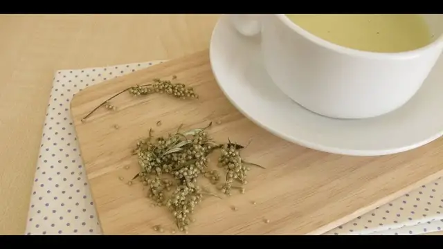 Video thumbnail for Mugwort Tea, Superb 7 Benefits That You Need To Know!