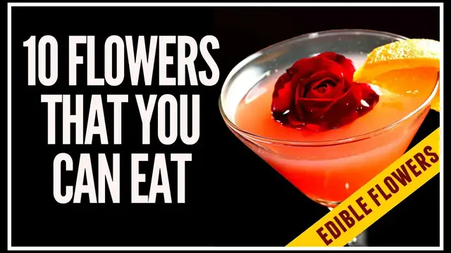 Video thumbnail for Edible Flowers: 10 Flowers That You Can Eat