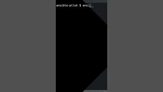 Video thumbnail for #Shorts Print text/variable during execution - Ansible module debug